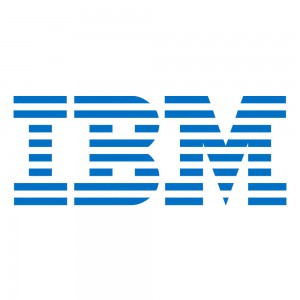 IBM 300GB 15K 6GB 2.5 SAS Hard Drive W/Tray warranty 1/thn