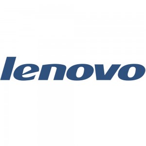 Lenovo ServeRAID M5200 Series 2GB Flash/RAID 5 Upgrade for Lenovo Systems