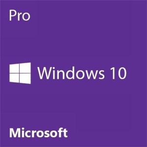 Microsoft Windows Professional 10 SNGL Upgrd OLP C